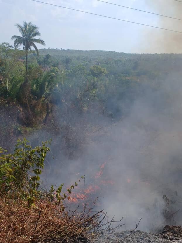 Balneário Veneza enfrenta focos de incêndio em meio à estiagem; autoridades monitoram a área.