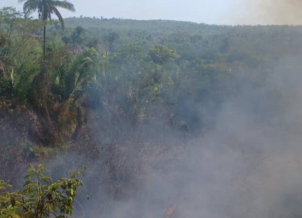 Balneário Veneza enfrenta focos de incêndio em meio à estiagem; autoridades monitoram a área.