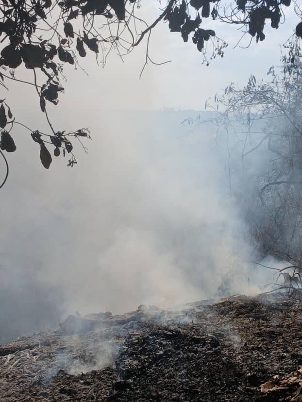 Balneário Veneza enfrenta focos de incêndio em meio à estiagem; autoridades monitoram a área.