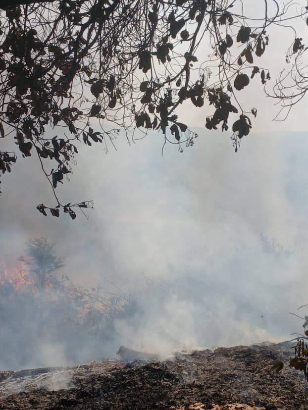 Balneário Veneza enfrenta focos de incêndio em meio à estiagem; autoridades monitoram a área.