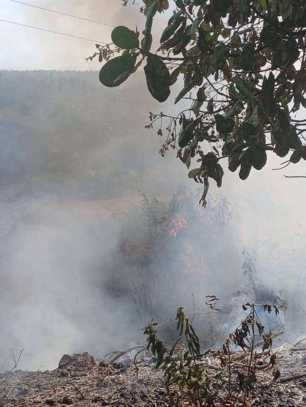 Balneário Veneza enfrenta focos de incêndio em meio à estiagem; autoridades monitoram a área.